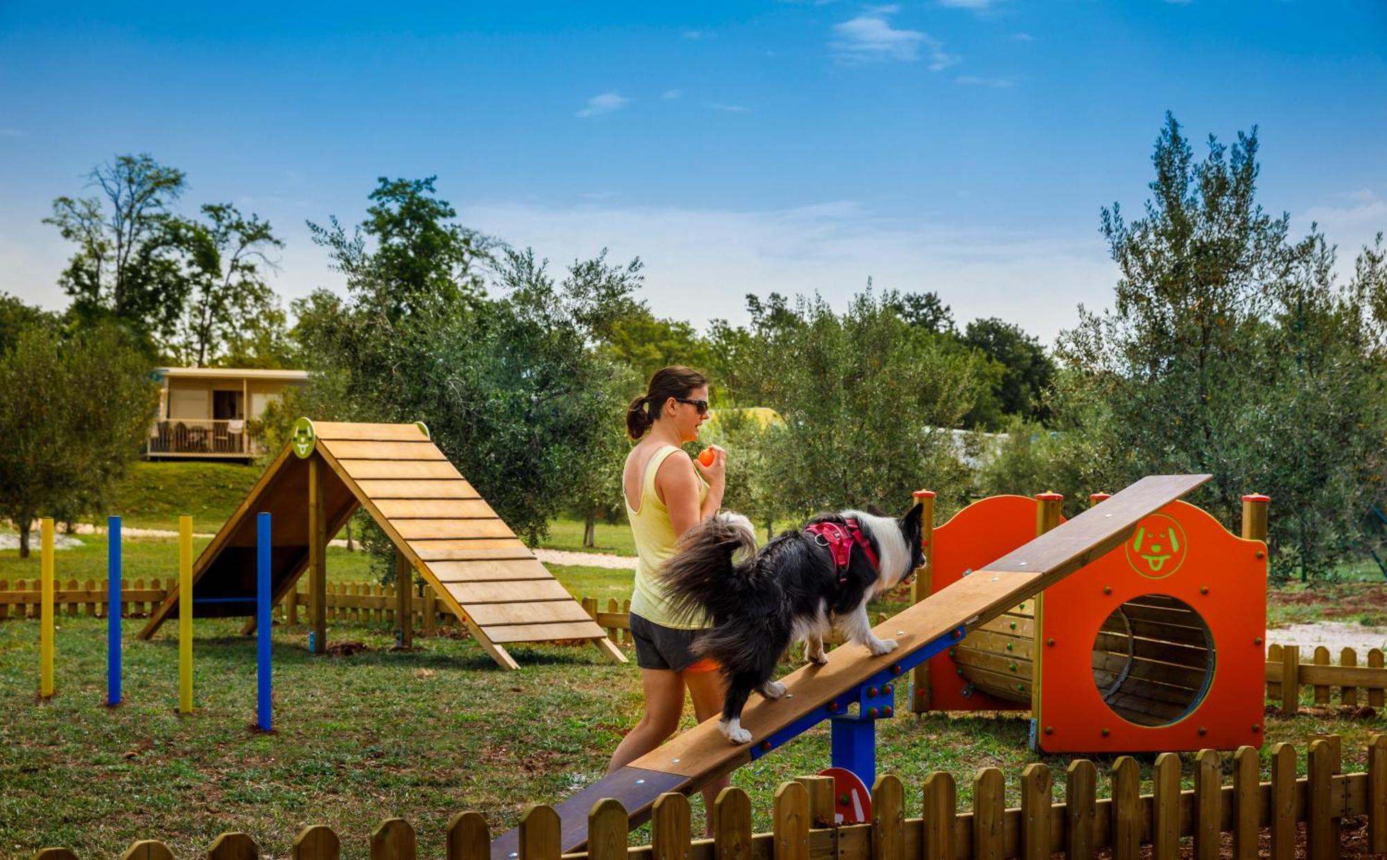 Aminess Planet Camping Maravea Resort - Pitches Novigrad Istria Dış mekan fotoğraf